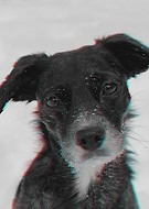 2018-12-22/2773e36e4a12420e7abbee8a954dcac9_2b1b4d2aefaa18e9644cf69b8ae38a89