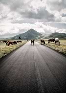 2018-12-22/aeb2360285ed52534038297b0ac6dc0c_9a29b6367cb189e41438fc4bc6224952