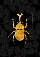 2018-12-24/0f74d5fb087f052e0afc448ef54d7f9a_a59eefc563a2a641c4df7f7402b5fb8b