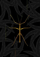 2018-12-24/14cfb53a28306a683cd98ade7c1b3a60_c9bf38b0296d5ed5d628fc54b631f27b