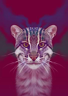 2018-12-25/f876c3e5686de4b64034c63fdac14f62_9b04b5d3979fa2d108e68d085715dc10