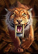 2018-12-27/b0dcd4ebfcaf4508e606fdb18a125683_5498486423c64cbc98884c6a5b7403a0