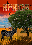 2018-12-27/e4dae4f7046a713b83e9dac48aca47ed_92efc9bf05e47e31bc0af3ced20e066f