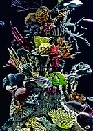 2018-12-28/240b6085b4c8b91c8c24fbcc11d15e93_0a0b4de9b6c46c7bd387612d8dc380cf