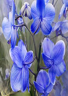 2018-12-28/5b1a26eeebc504ac5355ad61de342e89_4db3387481590bcf00a6156e1ffb20ec