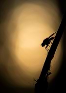 2018-12-30/8796731c0cd94f723a86e44abc1ea696_69f9e5d2e6a1157a63be9f2e37719963