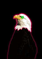 2018-12-30/a85a68d49ab6c8e09ea11820745e9745_1d22f8ffe38989359a33ad3e1b4f7c7d