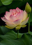 2018-12-30/e58b5e029f1740f1c0ffee3da9101bf4_dbf89f08c7aea9ea0f32711dd4ca2514