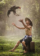 2019-01-01/c60898880b11e9227d32903a678f2dc5_4fea84f21c4ef9266a129ef071d873c8