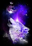 2019-01-02/2c88289feab700ac7db5f892bed21599_b5673aaeacc39dee2378c1d39f1931fd