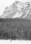 2019-01-02/e76a126608ba824e2e6c752c0d3fc7b8_af5e4cbd04cd21d9d0f5b1f059a16da2