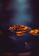 2019-01-02/f1308544def27195ef40b5cf1b413b99_850c46a3ec778cb29e2a750e97845f52