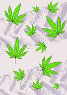 2019-01-03/3bd371c1dd1807b9b2743bffbbfbd1e3_822fc639c91e86572195a5216d217622