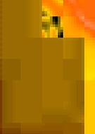 2019-01-03/6a1739991ff23ecd27f294f878dc76b8_738c143c2b1168b0b7896c17ce4de6f1