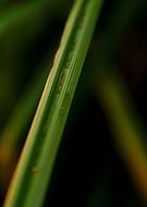 2019-01-04/df8493860de24afdf5310e5b47fdf71b_dca9a940d2848d3efae4b60b2cf57b0d