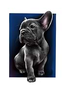 2019-01-04/fe79ea95a8e5a56fefd4301d09027740_a71acc8c92b8aea00edf7e0dcbb54e3e