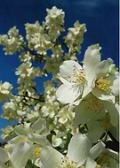 2019-01-05/1aeee445b2ec42f8424c16ff2e5eeb0b_496c63fb4eee7d990ce2b375876a6aae