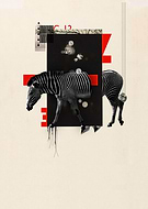 2019-01-05/2e504bb94de4fe45f706bab1ca860b53_1563cddc07b237f229ff3a186b8c7a23