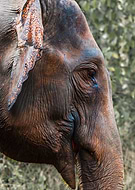 2019-01-06/c360bcb6ddc215afae055471eb7638fc_96ddde3e984372054bd670ccff330b37