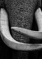 2019-01-07/1269c1f0b07fcf5c6147a95b61be1ef4_a6ebbe9f64e7e625074a727a251a462d