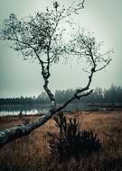 2019-01-07/35dfc43219868e71b2533f4248639428_1785d628cde3e0165cdaff47123f8e3e