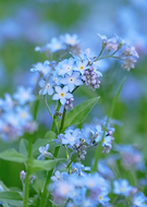 2019-01-07/a1fbf7e458d1f4ef196988cad3f64769_4fa156a88f4b2bda77a33bfa59d604ce