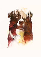 2019-01-08/1d556449361a18b4c246969713eb68f3_7118569a8721cb218b04849c740eb939