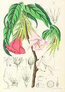 2019-01-08/7019c6b9331f1e1ad69eb7d29027c404_abc8fdfadc77cb704a0cb3f18ccaaa1a