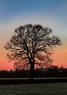 2019-01-08/937e131981873a032d857c82429e4b48_32f0a2c4f5102ad0feb08d094b1bc61c