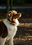 2019-01-11/0ef202e9fc9e4bc89edb1d1e9a3bec84_397bc63b85005eb7068dc02c1f8cf4ee