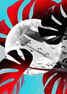 2019-01-11/b43c878340e1aebd80fb8b830a3ae717_a79a1989188d390ac8447bd59f99d6b1