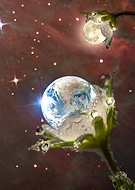 2019-01-11/f9709feaeb0f8a2bb1696e5de7dc2559_4a072af8fbde3e8cae18e44f0a36c12a