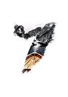 2019-01-12/09dc8b3b6cab76db1a8f26ebea553bfa_893a3f0a3923656274f00f7348df76f5