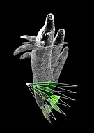 2019-01-14/6293d6258ef6171dff3df449199ffd3c_a6f64bd5753e543c261b3885e1f22ea7