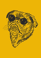 2019-01-16/f3004f0811ef525394a2586517d079a2_8677afc9e6b15ee8269034000685f967