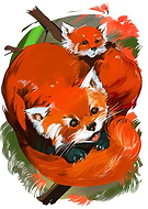 2019-01-18/aba06856413d86faadded93245611c5d_741720934e5e569de42bfd1d72cae4a3