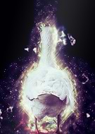 2019-01-19/d8b16b451f5b411ab0c8b99d727369d0_758ca614c18e4f4b5c97fadf976d4bbf