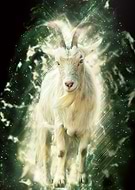 2019-01-19/eed5814cb8542c4b24211d00e1c32721_8e18535ba81e8617cba745fbd066116b