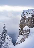 2019-01-20/01800853700cfdfd9c24429761da8785_b2aa08318d31bc1d8431950ca073a008