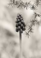 2019-01-20/b3a226e82467d74b10d18cd5ec377588_853ffbcb4cc91d11af9172a64b3162f2