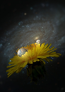 2019-01-20/f4d99f99dd98580172d9ce00ff7d9f44_f24b0896b7f88e5328cfe5a16d7d225d