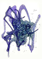 2019-01-21/719ce8ea8b356872aec7380095a81127_d7f9e856b53d6b5b414312df5dadddcd