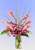 2019-01-22/1bfbcfd2aaf776490e5b1352ae4d9abe_f5600d7fc126ac726edd565521b2b306