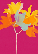 2019-01-22/b64958d22daee7a8164ded3af340ea62_9c73cd9e6f5b79cbd815ae6608122488