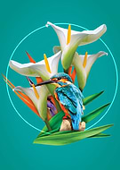 2019-01-23/115c5f9f5ccb09bb553f48fd1b42a2f5_2db78b34cb4afd5b5951fe42c1af2205