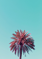 2019-01-23/bbfcb7e9558509e52b1c3e93f4609484_4a1329f6c7ad31a96c038ef7484f1143