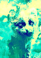 2019-01-24/7f3b292a6bb41ce3e8f6392624c1c2ce_373dfdcac9cd74aa7ae24a04284f7956