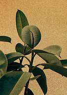 2019-01-24/90611936a38243ea2c3b1f57e85a04fe_db72f6bebdd242d48e36872dc361814c