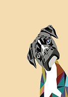 2019-01-24/ebb6d1b78a31cd826f77010944bf1904_3a78f055c07ea139d2cfb085ea4ed3c8