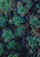 2019-01-26/ac374a9f63ac520b3d5e573b6bf79ce1_426c872a08e99a81b8d8119cd520915b